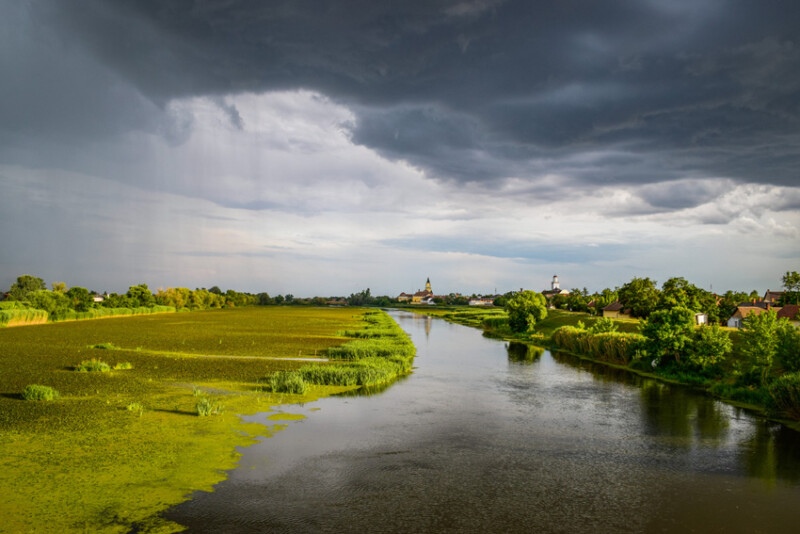 70 / Gecser István / Hortobágy-Berettyó / 2018. 06. 26.