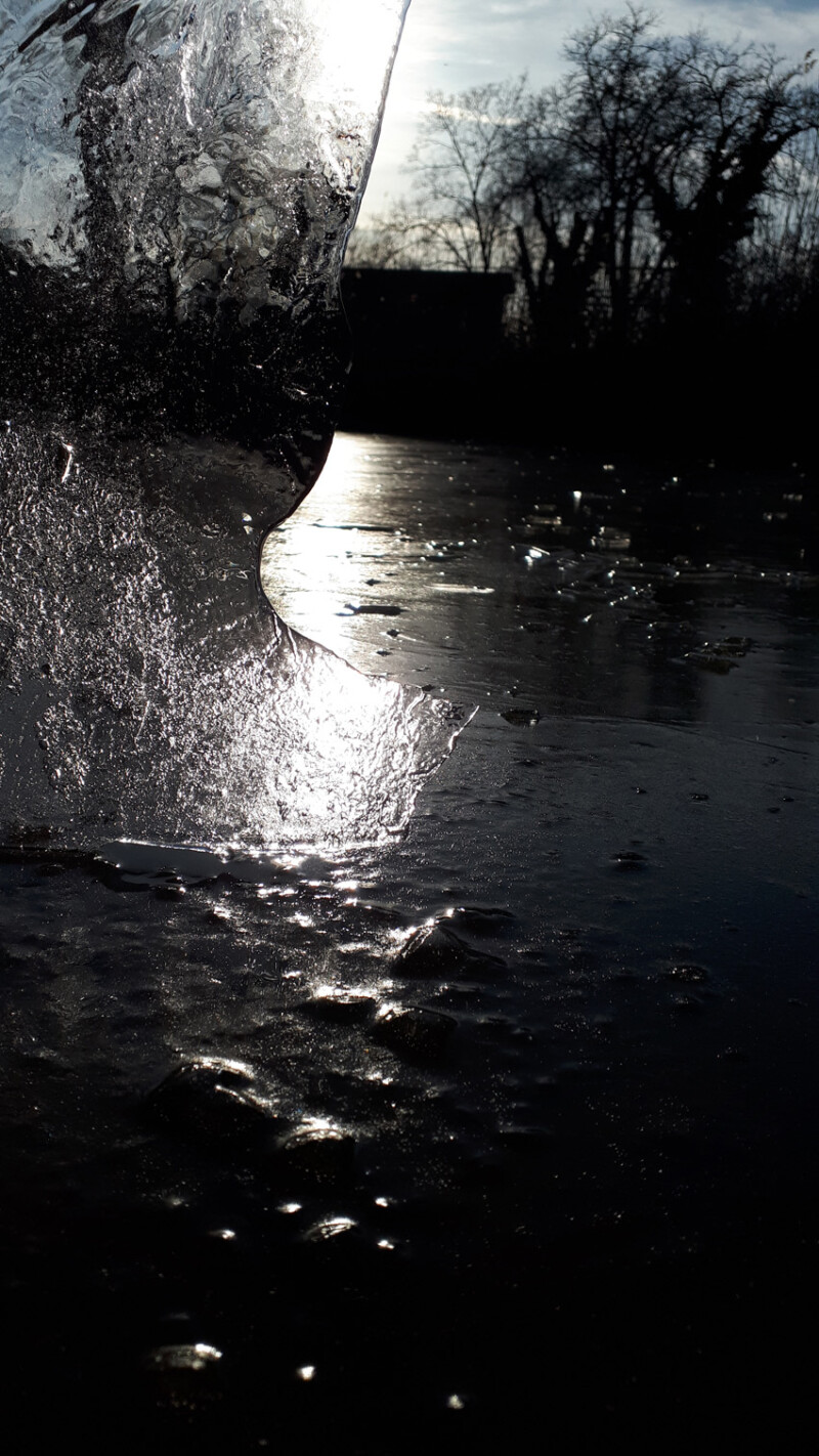 73 / Bai Szilárd / Élővíz-csatorna / 2020. 02. 09.