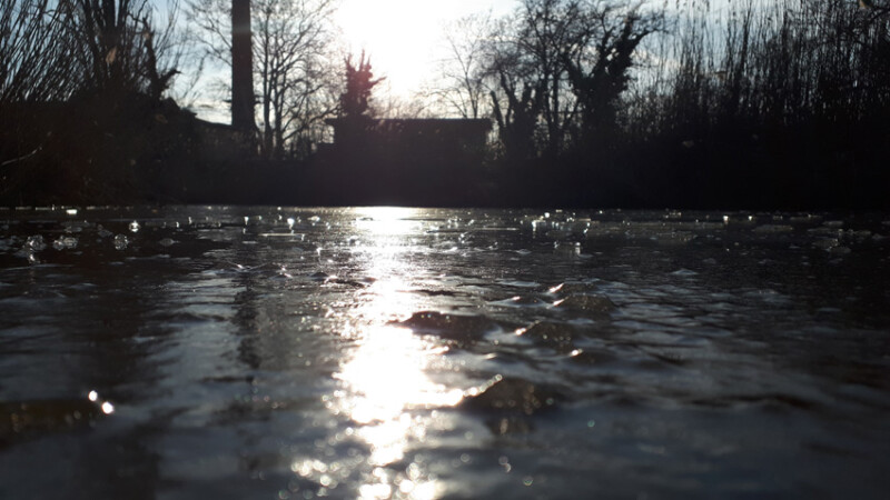 74 / Bai Dániel / Élővíz-csatorna / 2020. 02. 09.