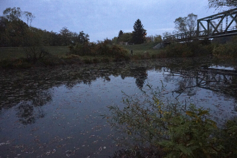 75 / Boldog Zsuzsanna / Fehér-Körös / 2017. 10. 22.