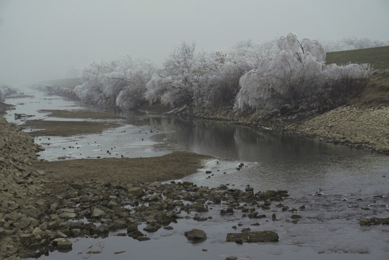 76 / Boldog Zsuzsanna / Fehér-Körös / 2020. 01. 19.