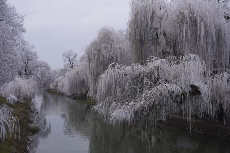77 / Boldog Zsuzsanna / Élővíz-csatorna / 2020. 01. 19.