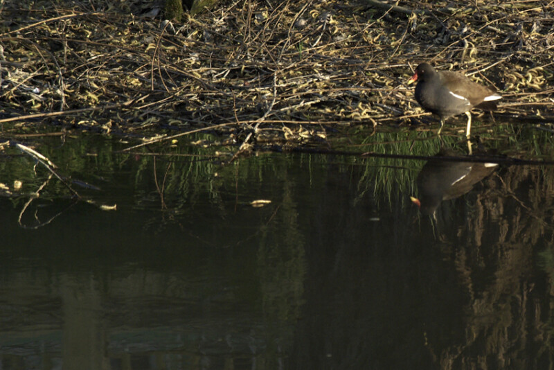 79 / Boldog Zsuzsanna / Élővíz-csatorna / 2016. 05. 20.