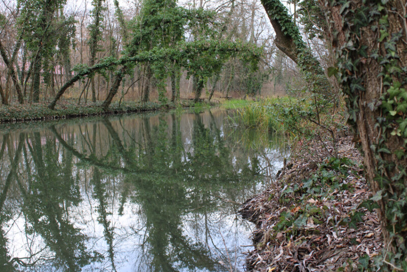 81 / Kulcsár Áron / Élővíz-csatorna / 2019. 12. 22.