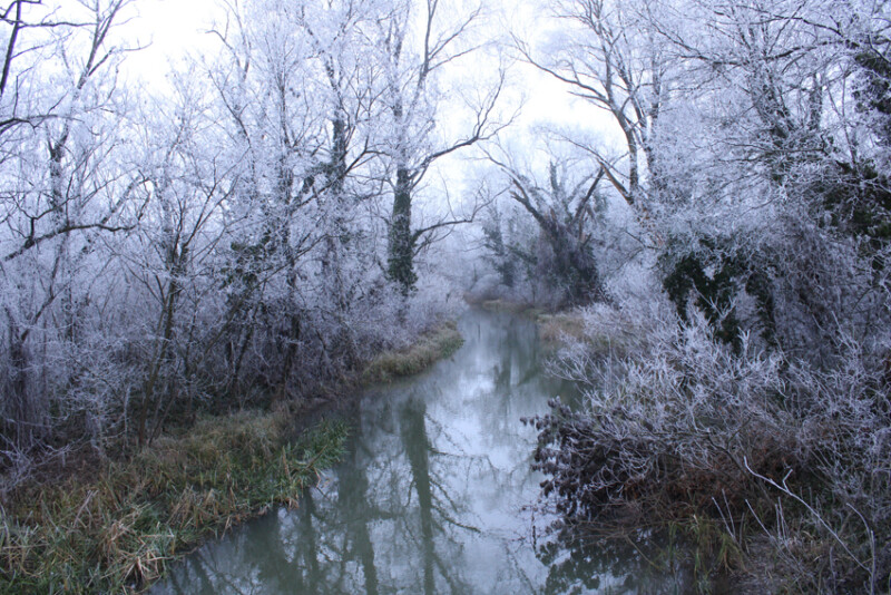 84 / Kulcsár Áron / Élővíz-csatorna / 2020. 01. 04.