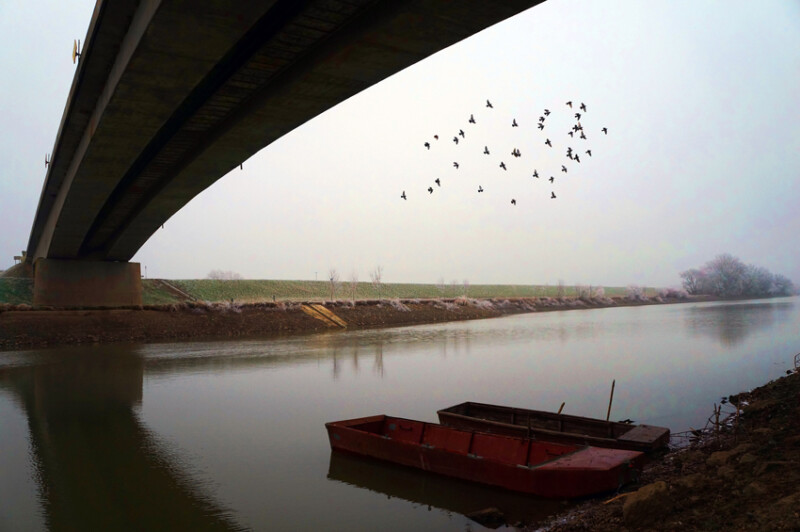 85 / Kesztyüs Máté / Kettős-Körös / 2020. 01. 04.