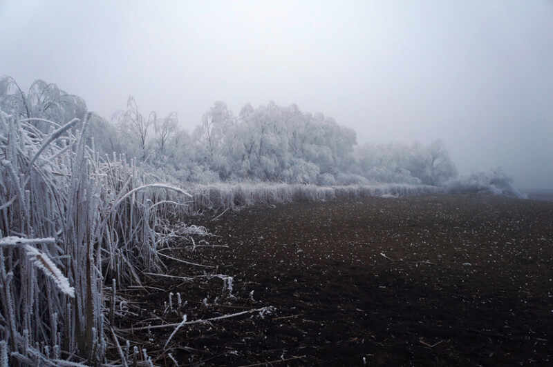 87 / Kesztyüs Máté / Kettős-Körös / 2020. 01. 18.