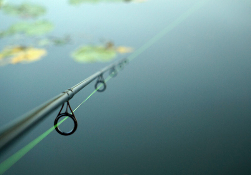 88 / Kesztyüs Máté / Kákafoki-holtág / 2019. 06. 08.