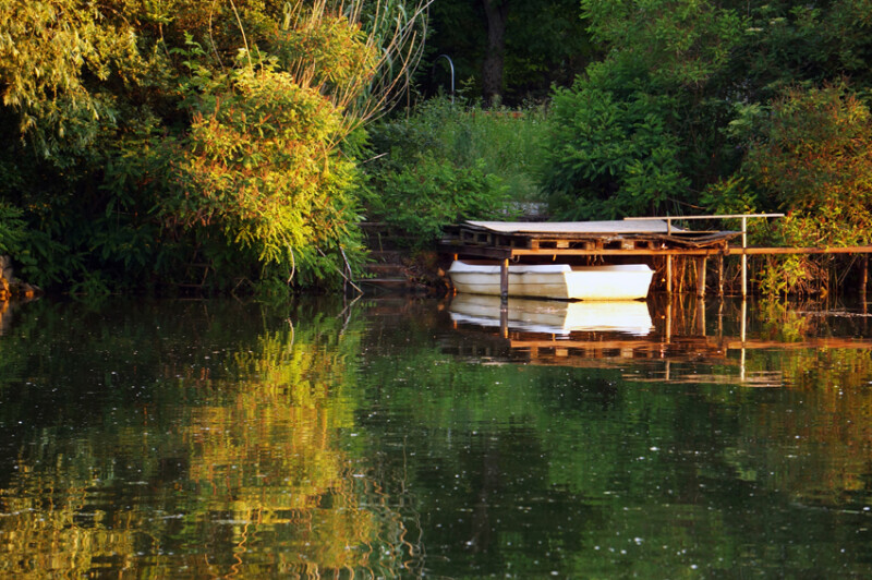 89 / Kesztyüs Máté / Kákafoki-holtág / 2019. 06. 08.