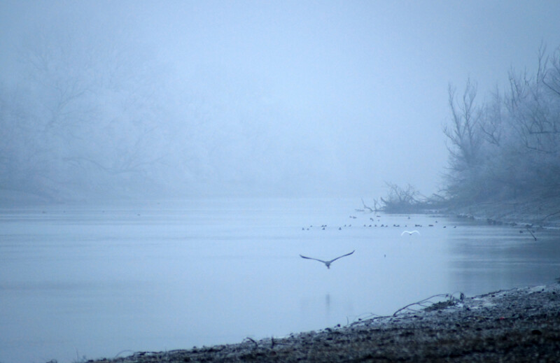 94 / Kesztyüs András / Kettős-Körös / 2020. 01. 04.